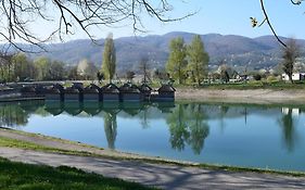 Borovnica Catez