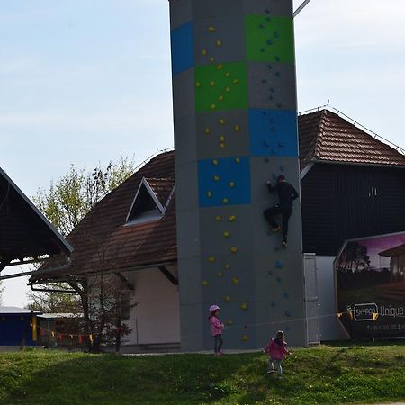 Appartamento Borovnica Catez Catez ob Savi Esterno foto