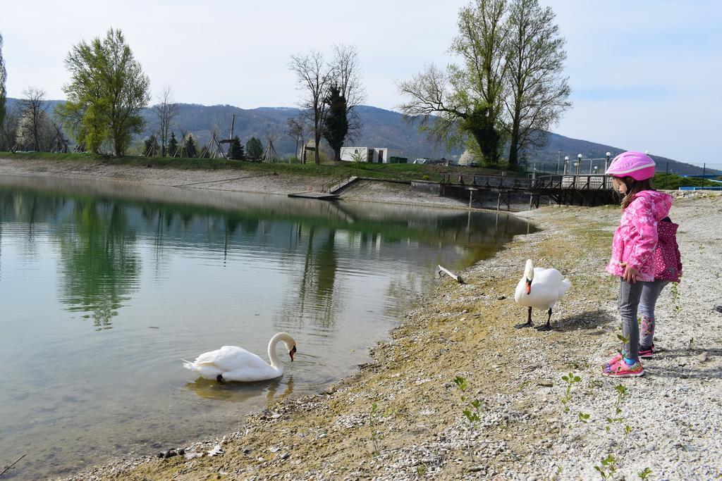 Appartamento Borovnica Catez Catez ob Savi Esterno foto