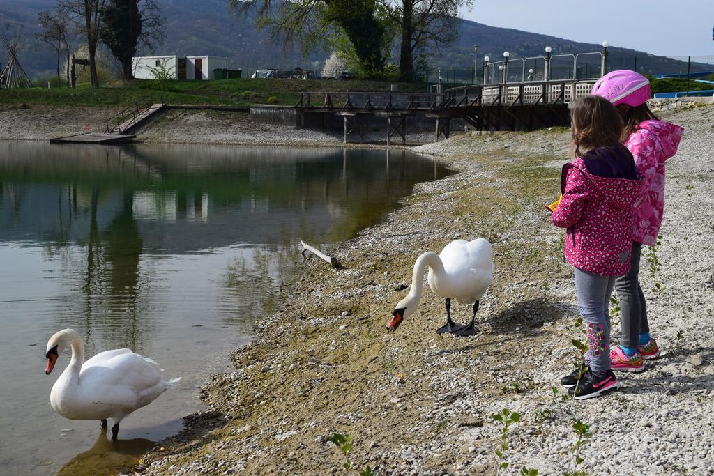 Appartamento Borovnica Catez Catez ob Savi Esterno foto