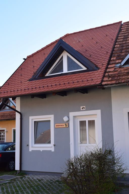 Appartamento Borovnica Catez Catez ob Savi Esterno foto
